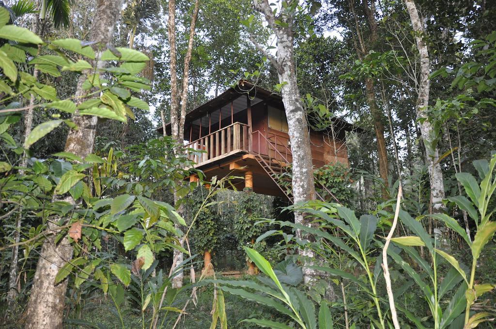 Sunbird Garden Resort Krishnagiri Zimmer foto